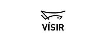 Vísir
